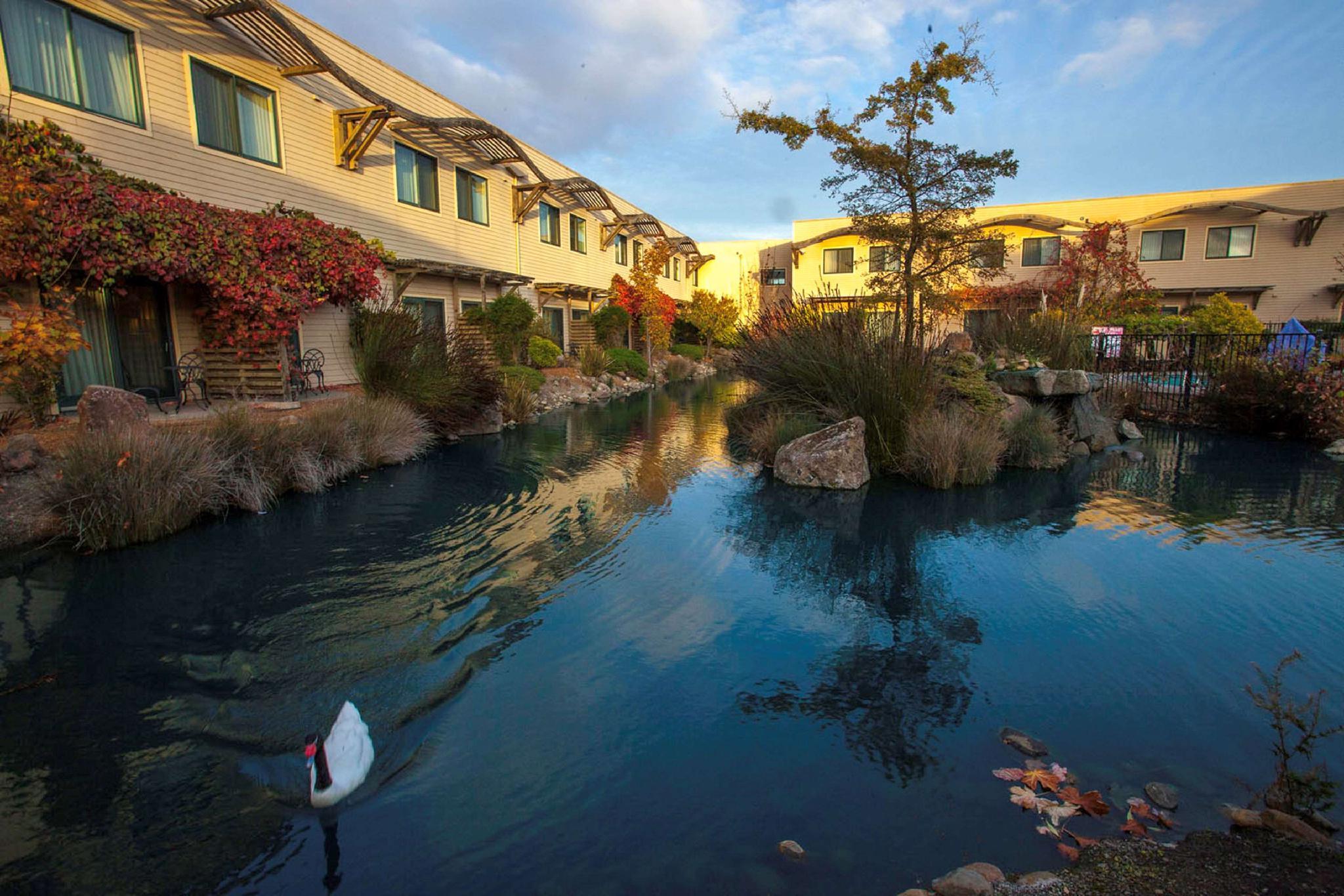 Doubletree By Hilton Napa Valley - 4* American Canyon